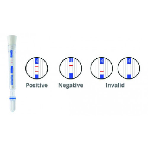 Covid19 Rapid Antigen Saliva Test Kits PolyPlus Online Store